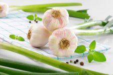 healthy garlic