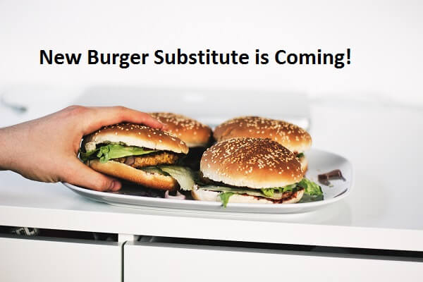 substitute for hamburger