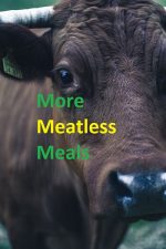 hamburger substitute