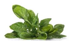 healthy spinach