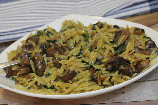 creamy mushroom orzo pasta