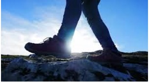 healthy steps per day