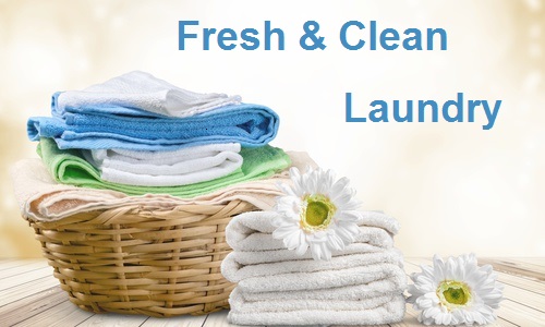 Pick Up Laundry Service